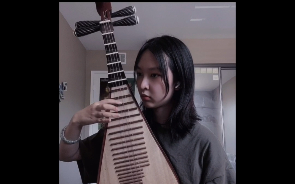 琵琶权御天下翻弹自洛天依加一丢丢自己的小改编