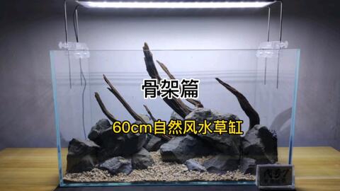 代号7 60cm仿ada自然风 水草缸骨架 制作过程 哔哩哔哩 代号7 60cm仿ada自然风 水草缸骨架 制作过程 哔哩哔哩
