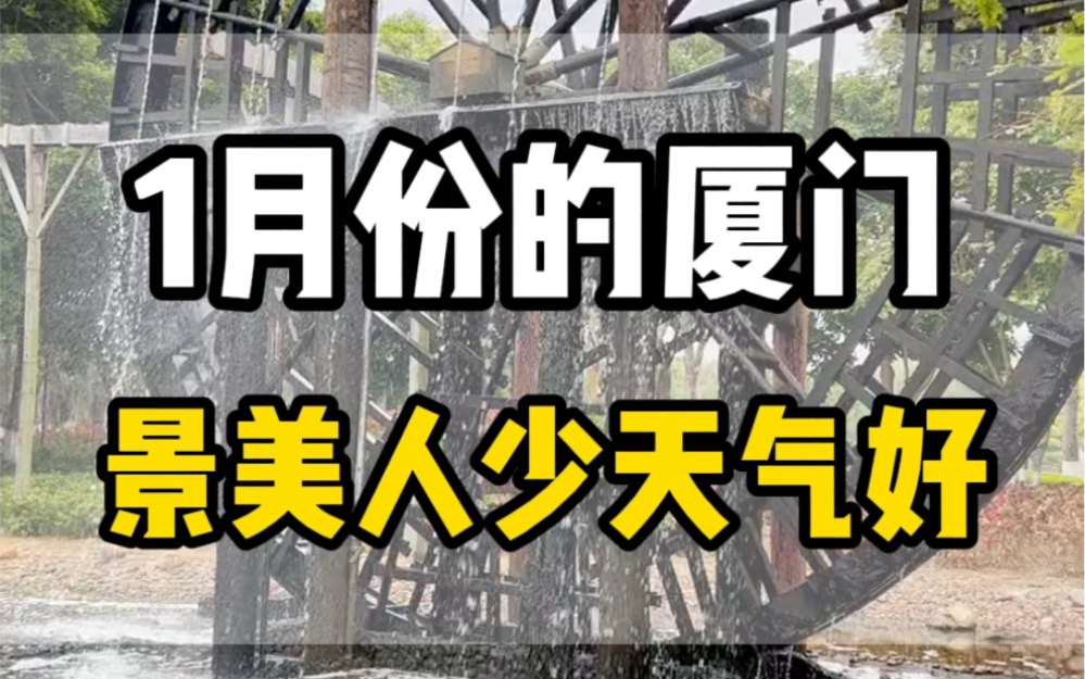 为什么聪明的人都选择1月,2月份来厦门,因为冬季的厦门天气好,景色美,温度舒服,关键是消费很低,两个人五天,人均1000不到#厦门旅游攻略哔哩...