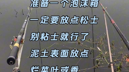 钓鱼人都这样养蚯蚓准备一个泡沫箱一定要放点松士别粘士就行了泥土表面放点烂菜叶或香蕉皮最好隔个3~5天洒点水别洒多了哔哩哔哩bilibili