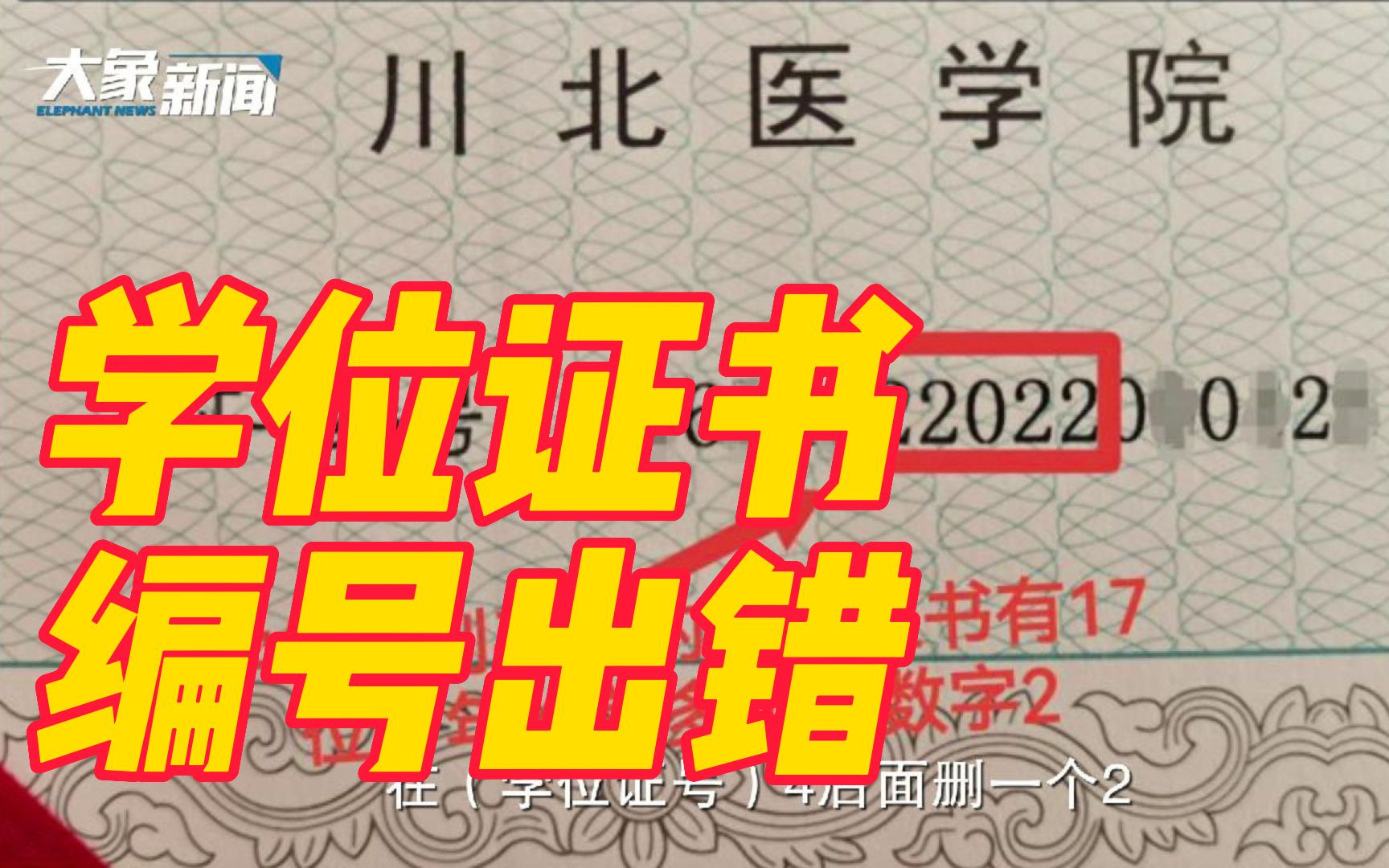 毕业生吐槽学位证书编号出错影响找工作,川北医学院:加紧制作新证书哔哩哔哩bilibili