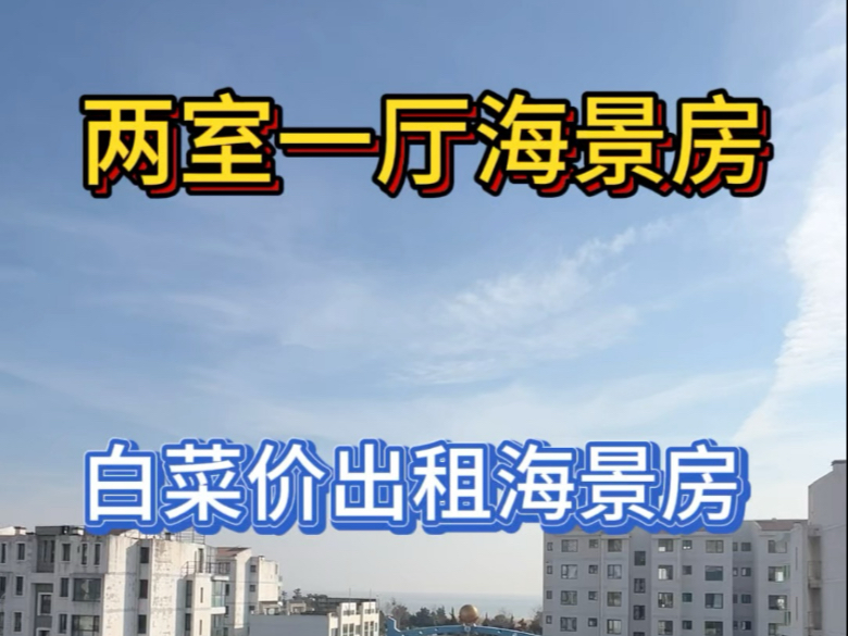 二室一厅海景房,一年租金4500元!水电物业自己承担哔哩哔哩bilibili