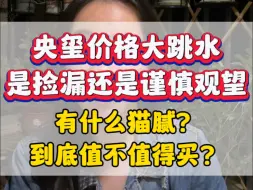 Descargar video: 五象最新跳水冠军，有猫腻吗？值不值得买？