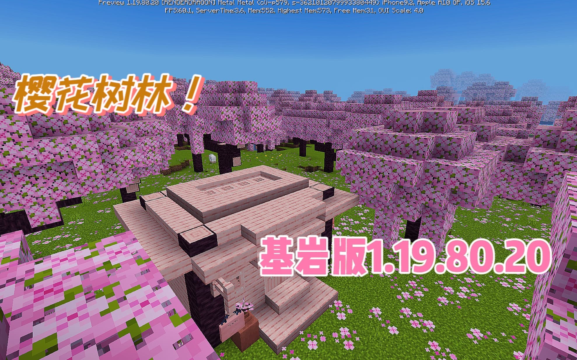 我的世界:樱花树林终于加入基岩版!春日Minecraft赏樱花!我的世界