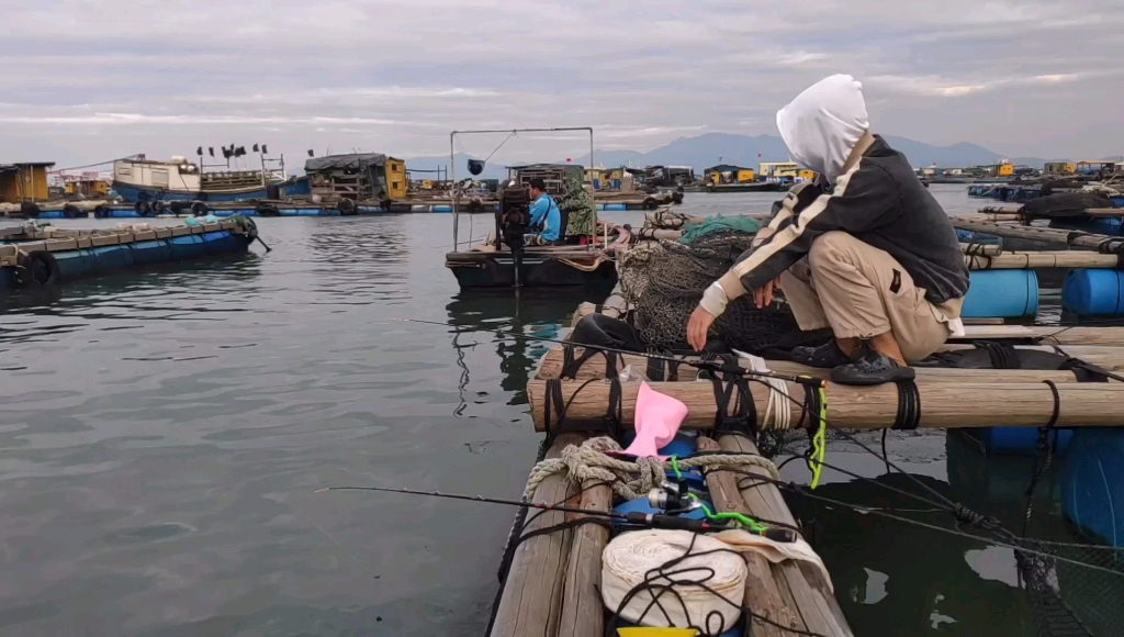 海上鱼排钓黄脚腊黑鲷鲈鱼想钓石斑没钓到