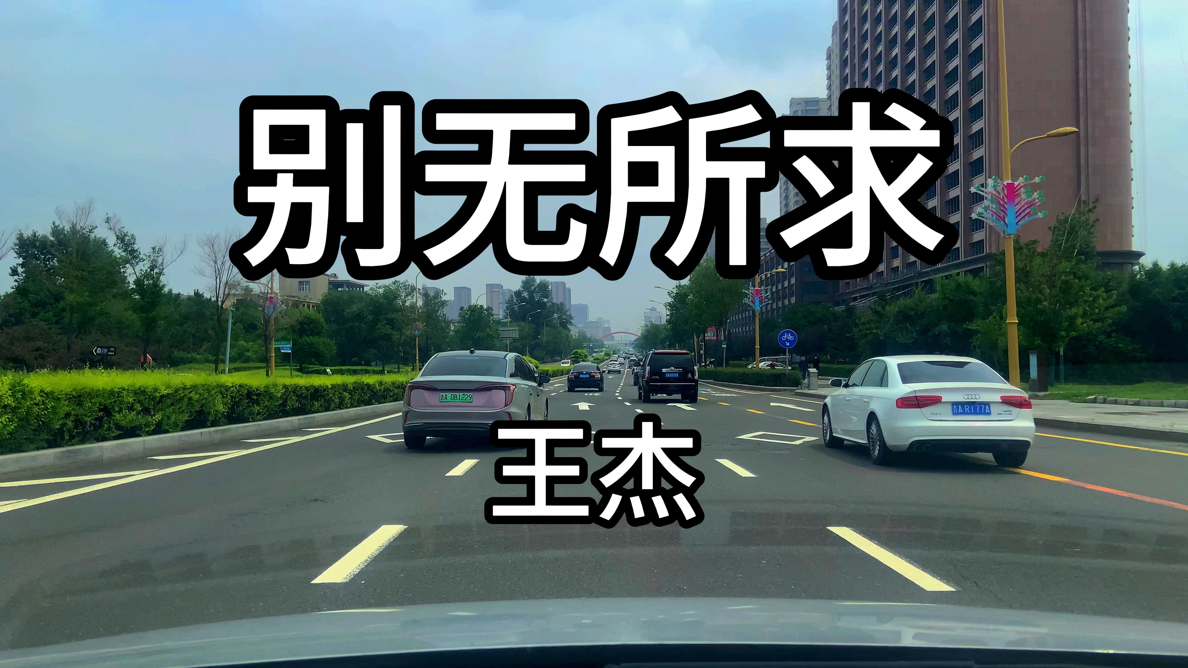 《别无所求》 - 王杰 深情的旋律和感人的词句,歌声唯美动听值得收藏!