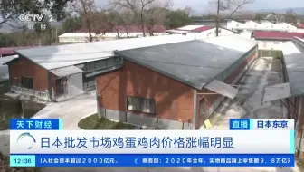 日本扑杀活鸡数量创纪录
