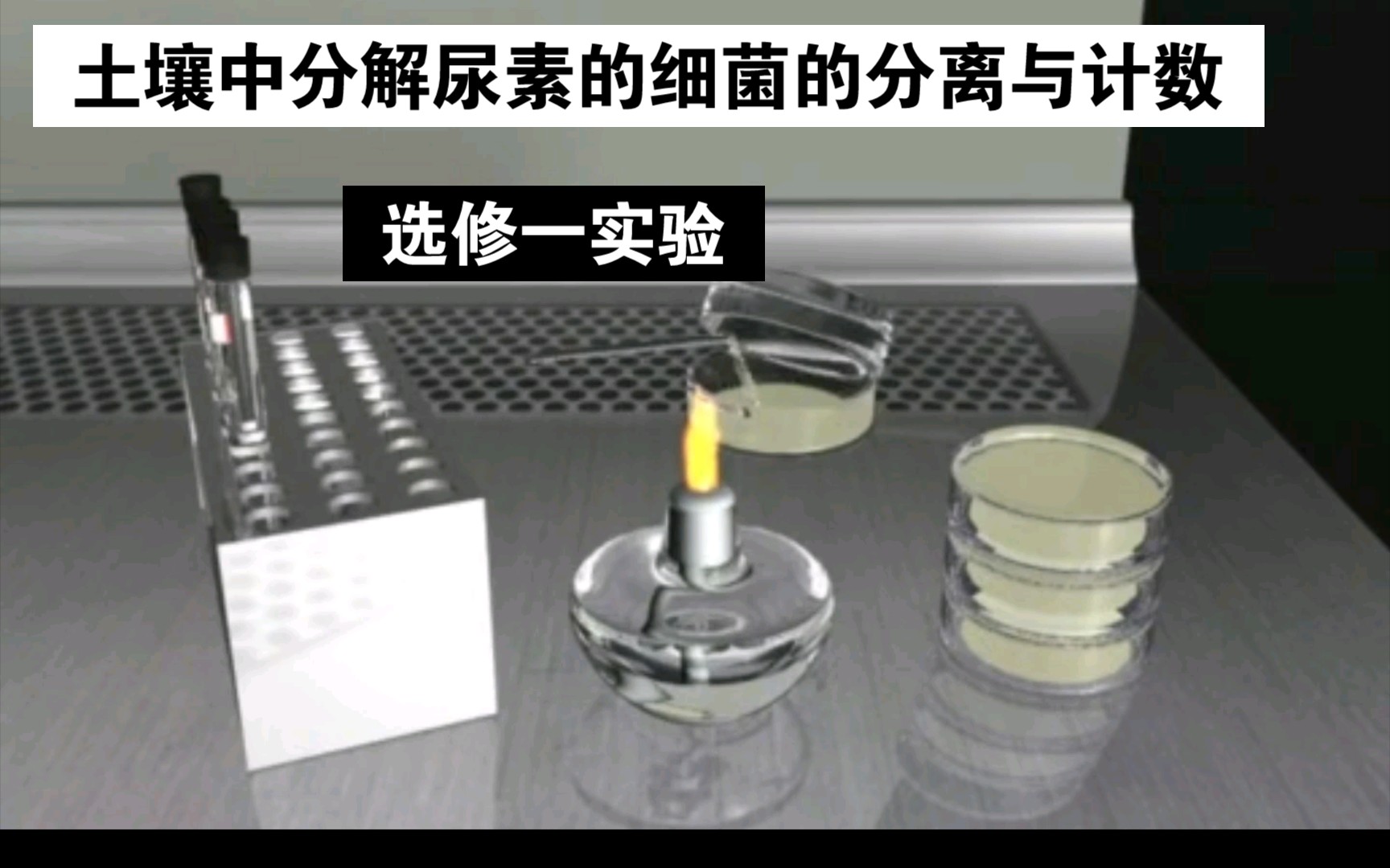 1.150 高中生物选修一实验 5.土壤中分解尿素的细菌的分离与计数哔哩哔哩bilibili