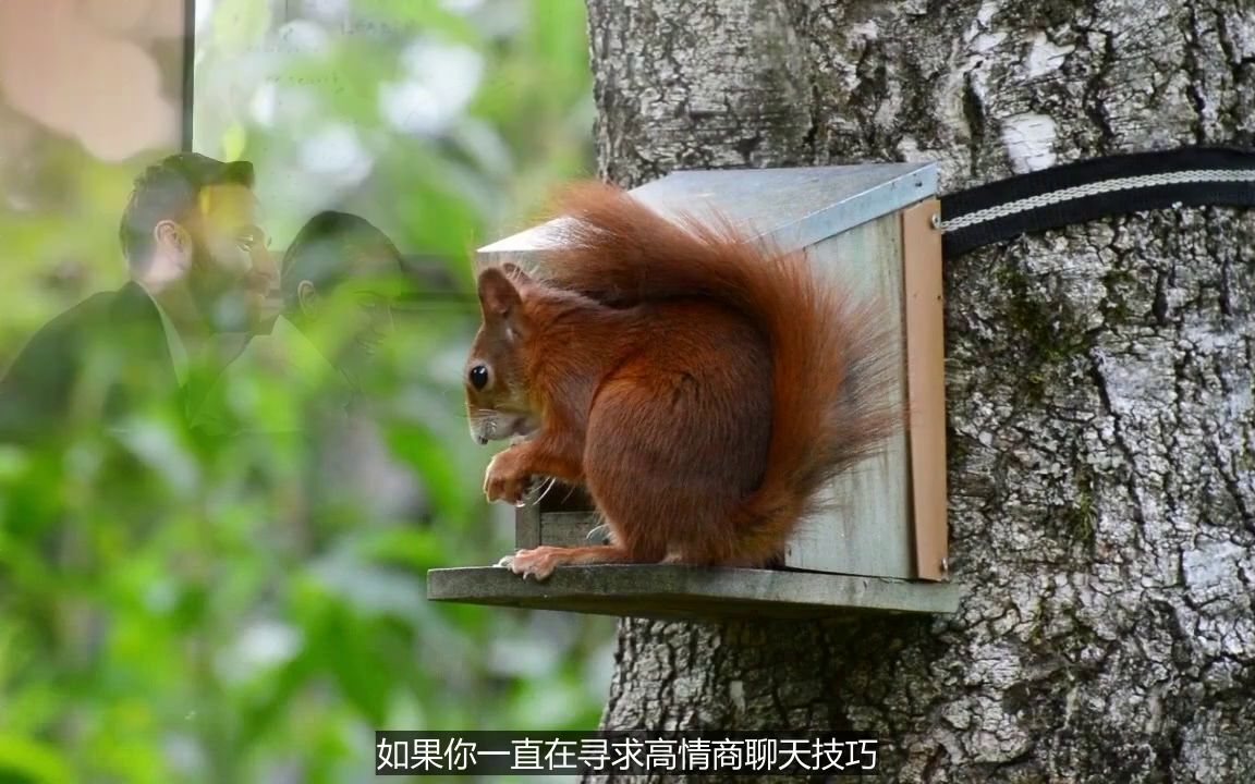 和女生聊天女生说要给你介绍闺蜜妙语救星下载哔哩哔哩bilibili