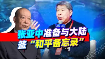 Download Video: 张亚中准备与大陆签“和平备忘录”，这是解决台湾问题的出路吗？