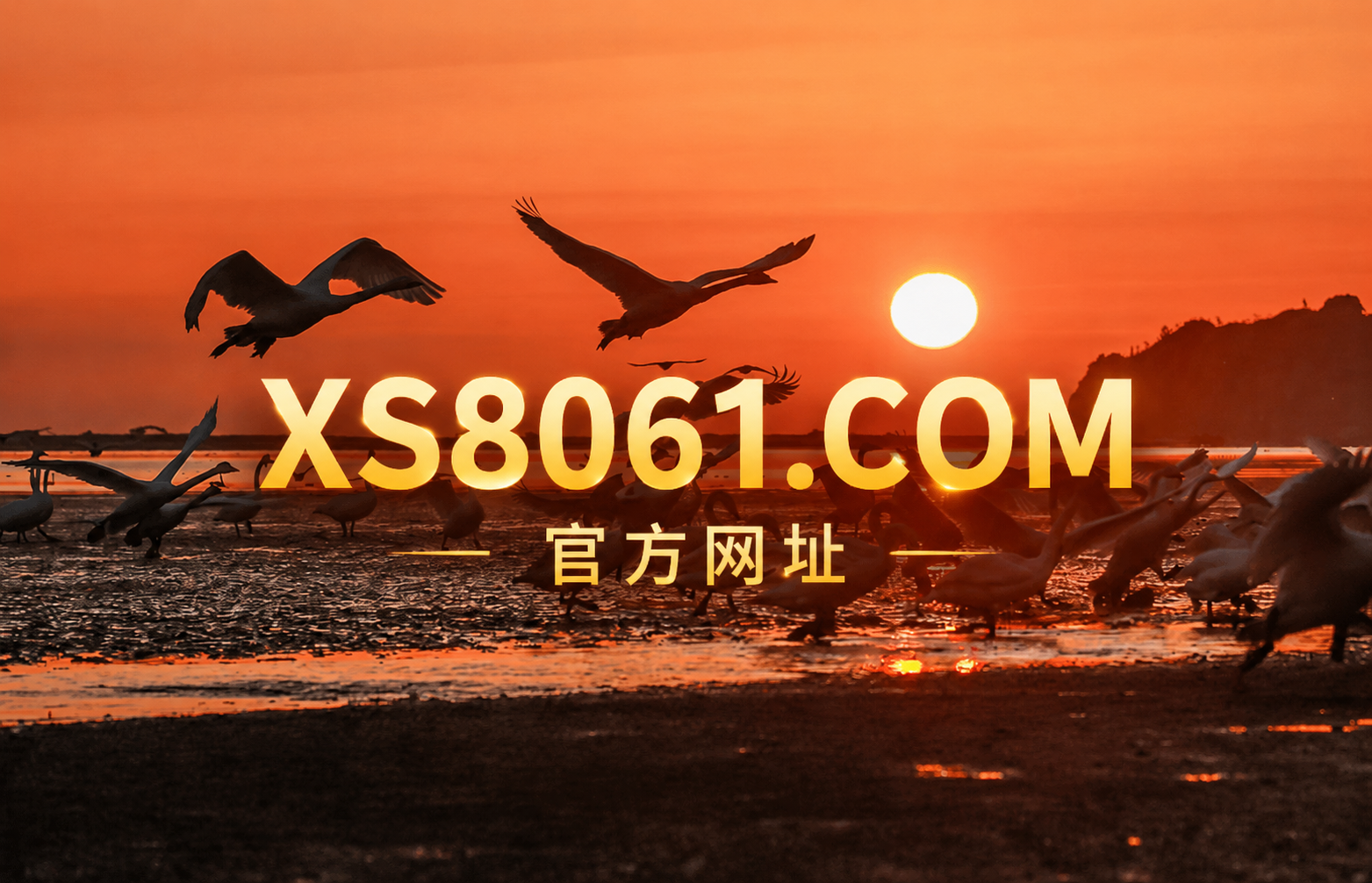 2026第一官方；新 胜 公 司 负 责 人 开 户 流 程 是 什 么