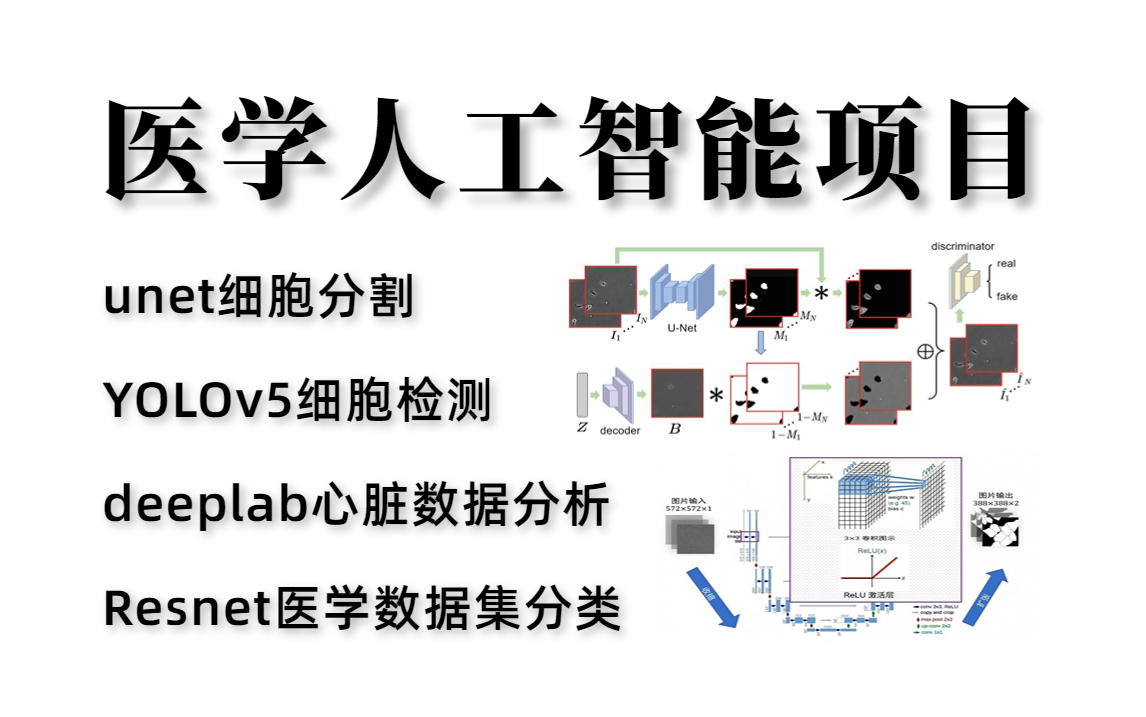 打造智慧医疗!目前最全的医学人工智能教程:Unet医学细胞分割+YOLOv5细胞检测+deeplab心脏数据分析+Resnet医学数据集分类一次讲透!!!哔哩哔...