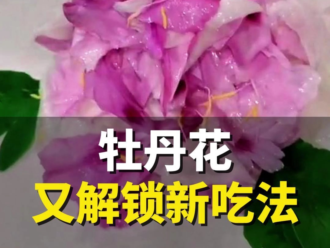 牡丹花又解锁新吃法!网友:菏泽,你让我感到陌生