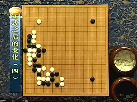 [图]〖围棋课堂-定式以后的变化-袁卫红中级围棋视频讲座〗