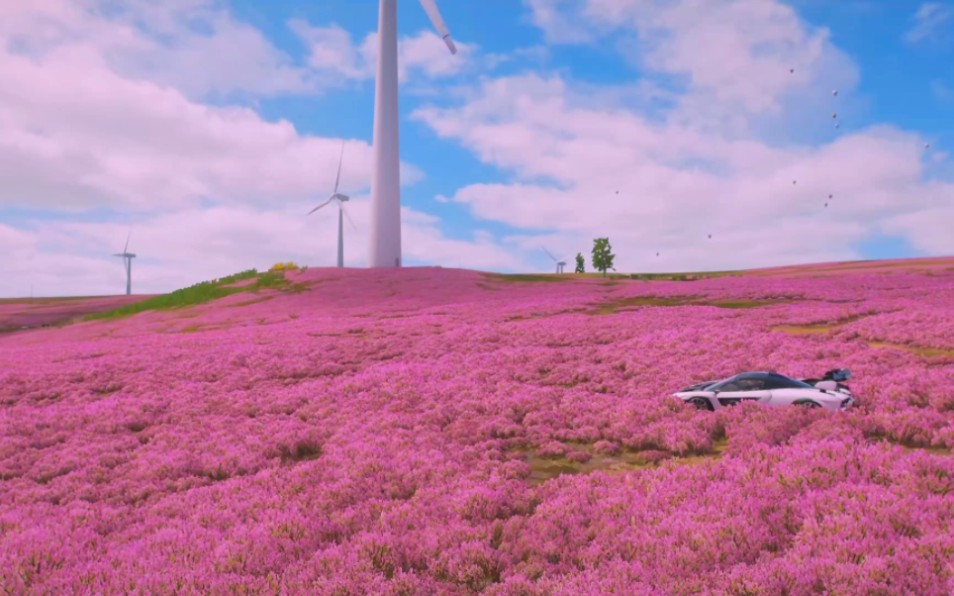 地平线4花海
