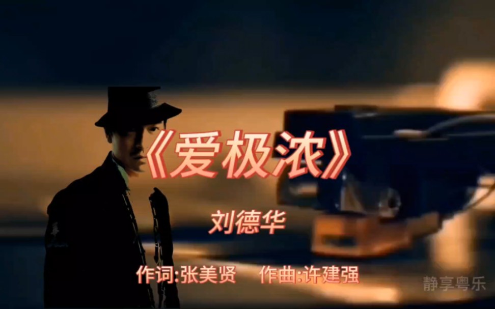 《爱极浓》-刘德华-1995年-专辑:《情未鸟》【无损】