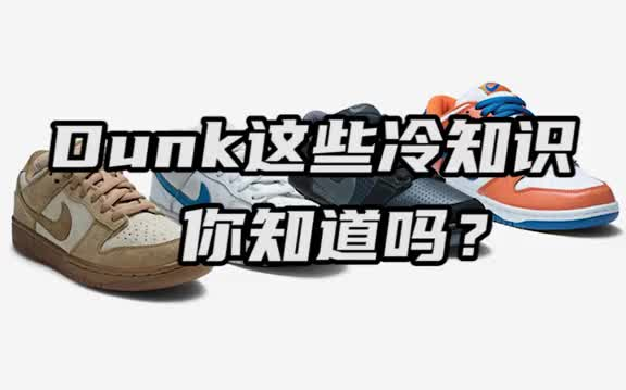 关于Dunk这些事你都知道吗?哔哩哔哩bilibili