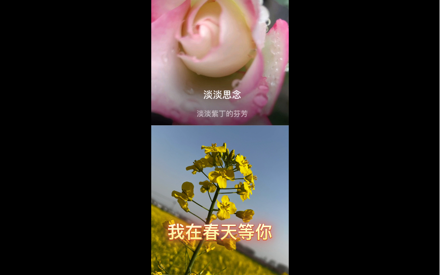 翻唱我在春天等你哔哩哔哩bilibili