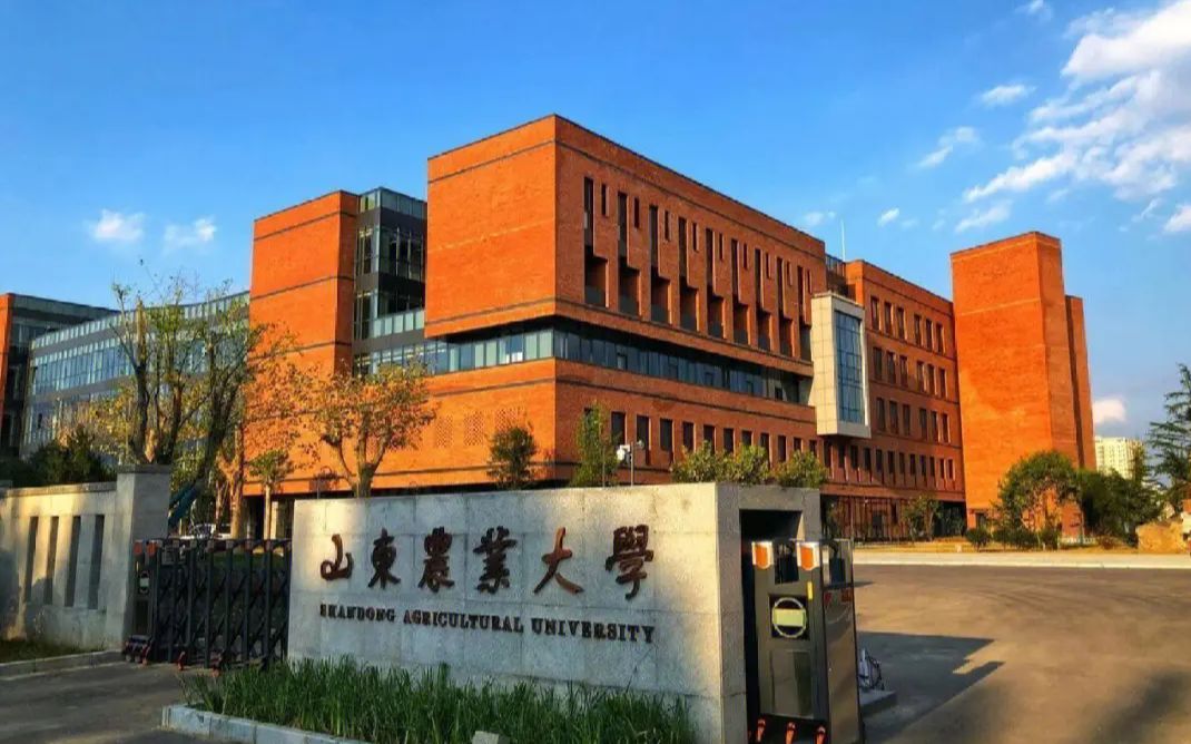 山东农业大学壁纸图片