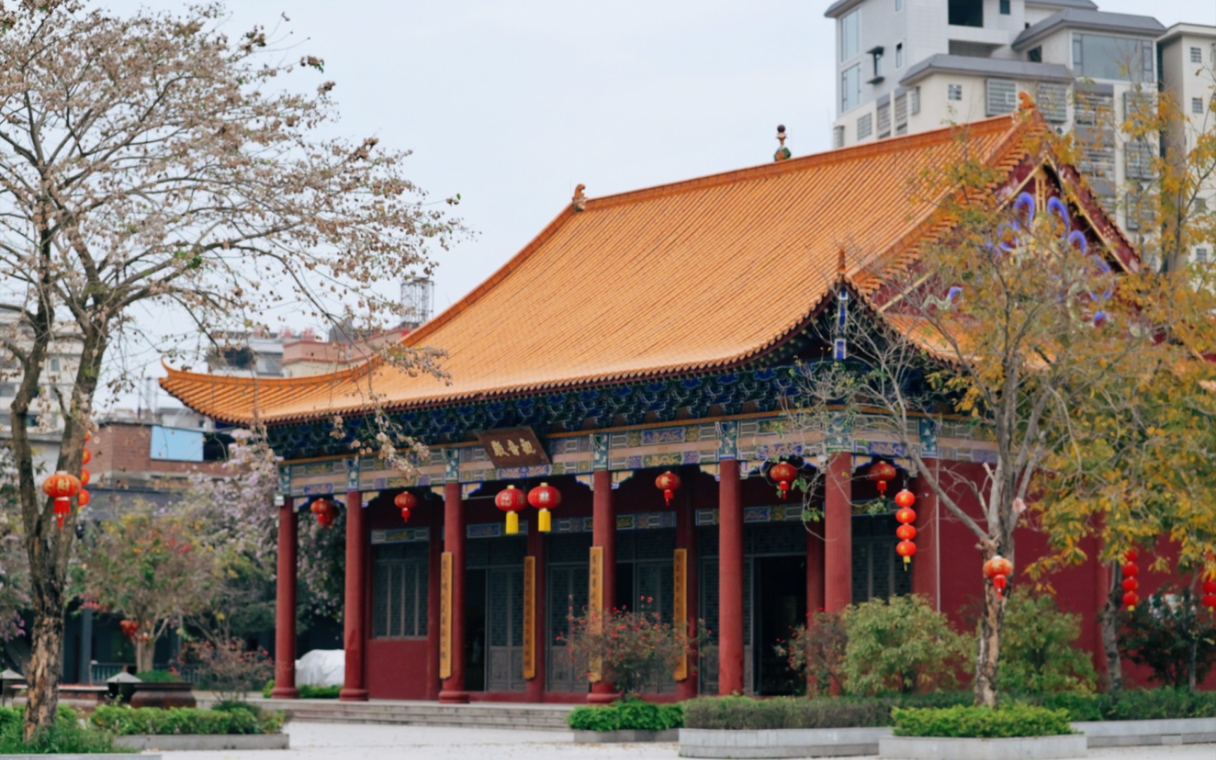 随拍 | 四会莲花寺