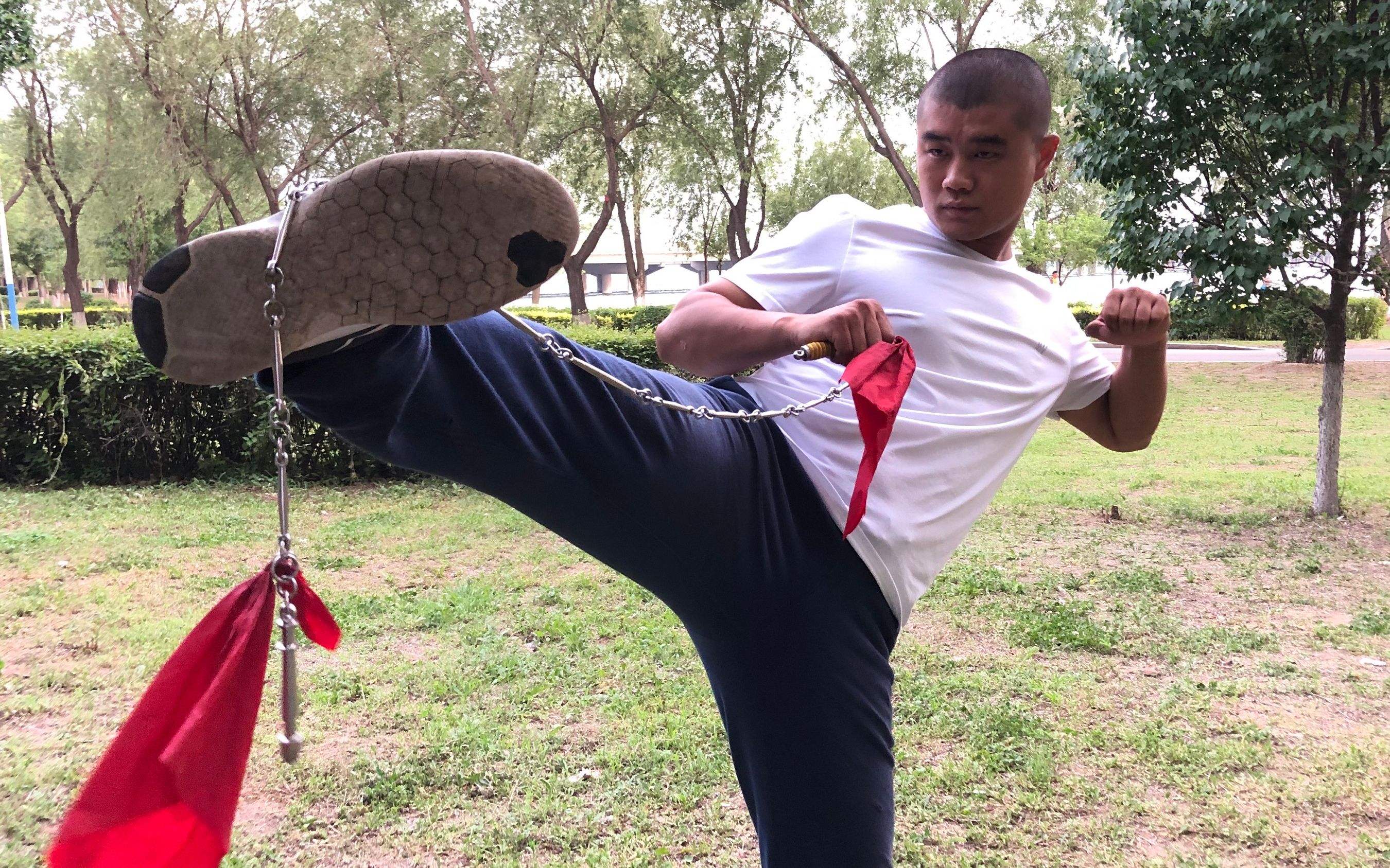 武术高手拿九节鞭,能不能打一群人?武术教练为你揭露内幕