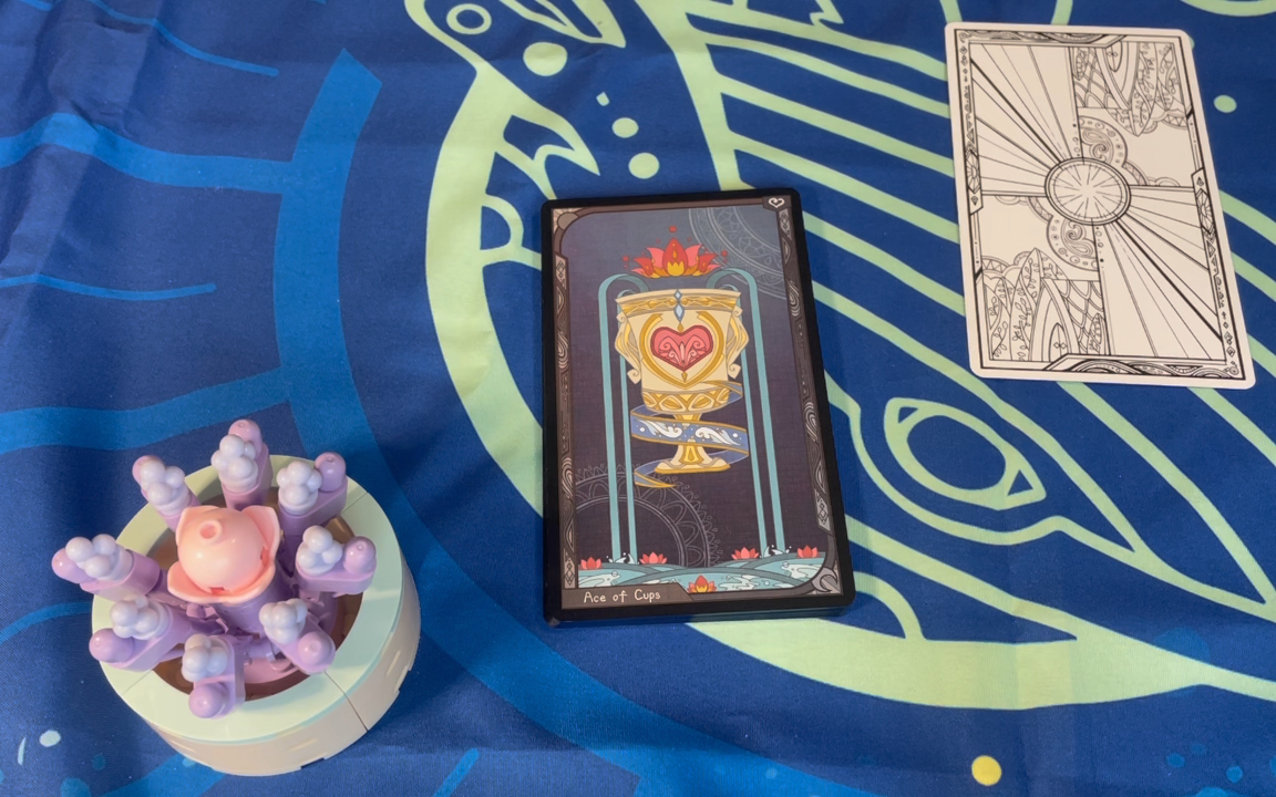 碎镜马赛系塔罗牌小阿卡纳圣杯牌组的故事助眠小故事