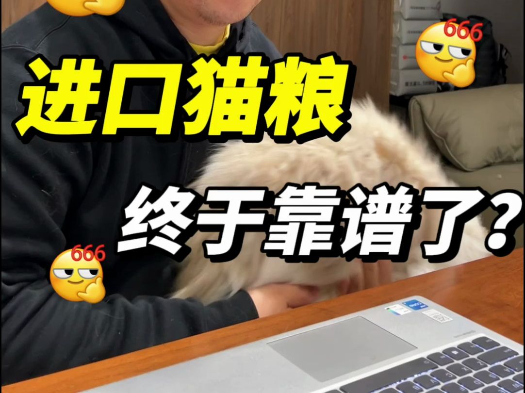 进口猫粮终于靠谱了?1哔哩哔哩bilibili