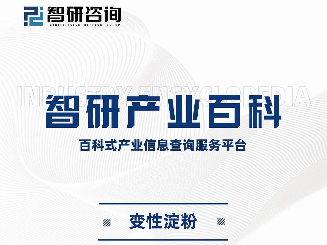 中国变性淀粉行业投融资动态分析及发展前景预测报告(智研咨询发布)哔哩哔哩bilibili