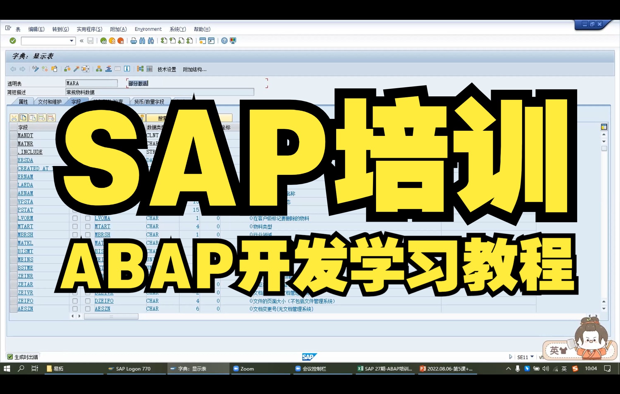 易拓SAP培训 ABAP开发基础学习教程 数据字典哔哩哔哩bilibili