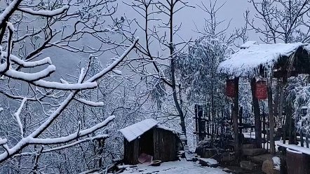 [图]大雪纷飞，人间仙境