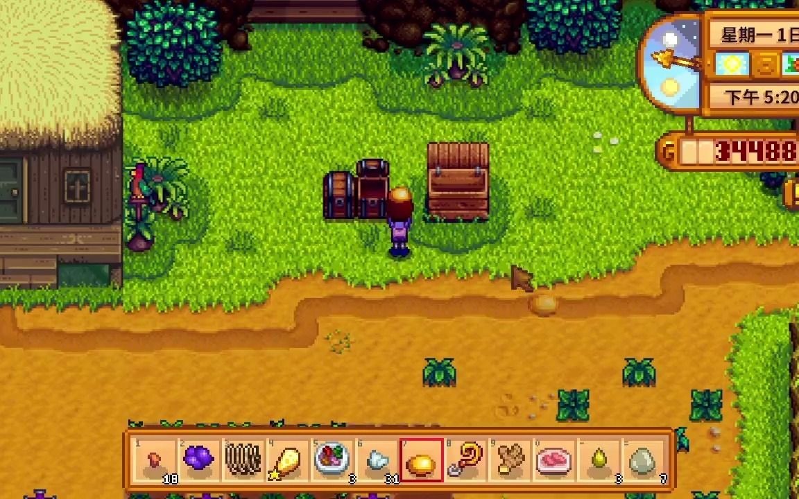 星露谷不等下雨解决宝石鸟谜题的方法