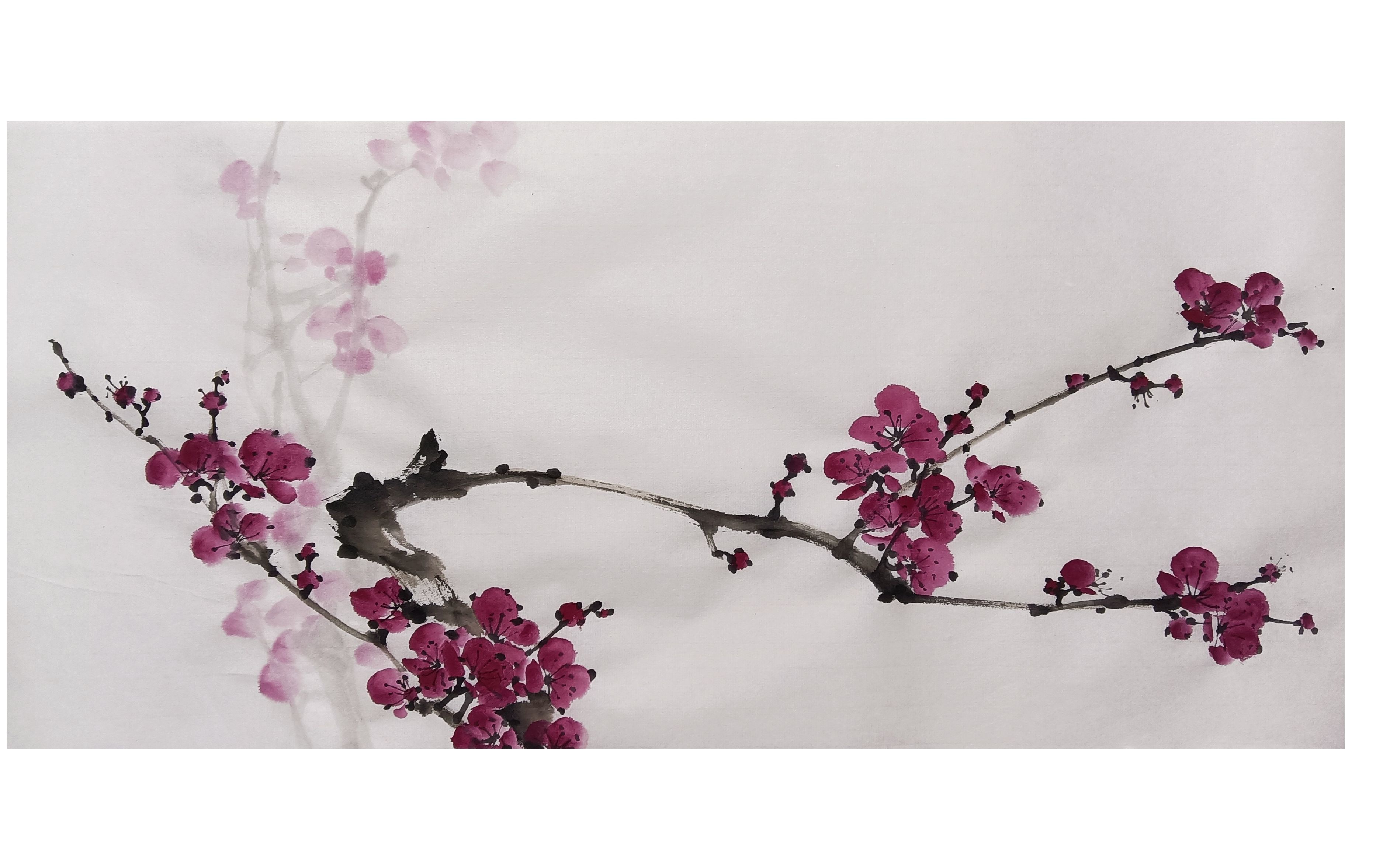 横幅国画胭脂梅花