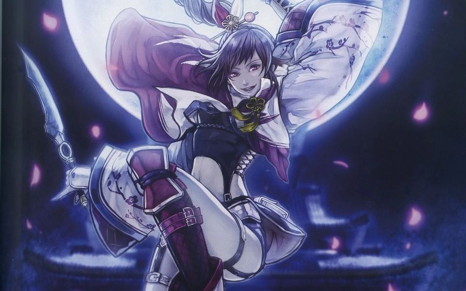 无双大蛇3 修罗 绝对的破坏神 女忍者 无伤 禁三天双吸_哔哩哔哩 (゜