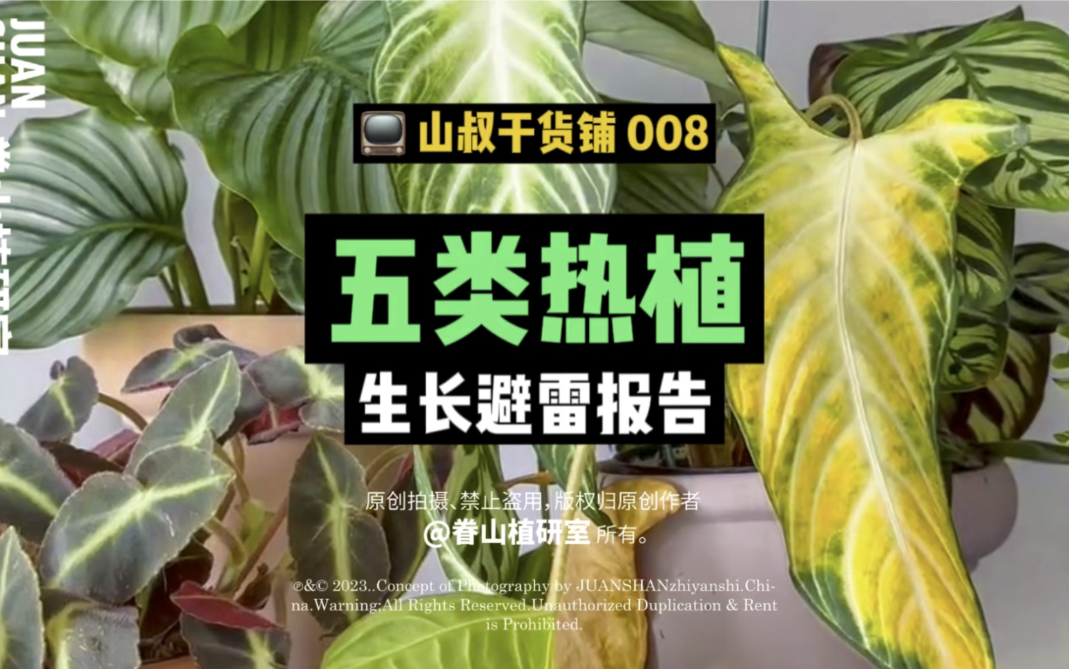 【山叔干货铺008】一份趟过许多热植尸体而出炉的热植生长避雷报告书哔哩哔哩bilibili