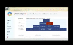 Download Video: 生信-MetaboAnalyst实操-代谢组学分析、小分子通路富集分析（仅做自己学习收藏所用）