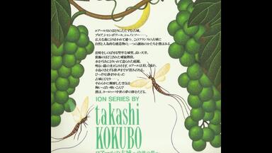 Takashi Kokubo (小久保隆) - Lakehill Story (鳥の詩) （1994）_哔哩
