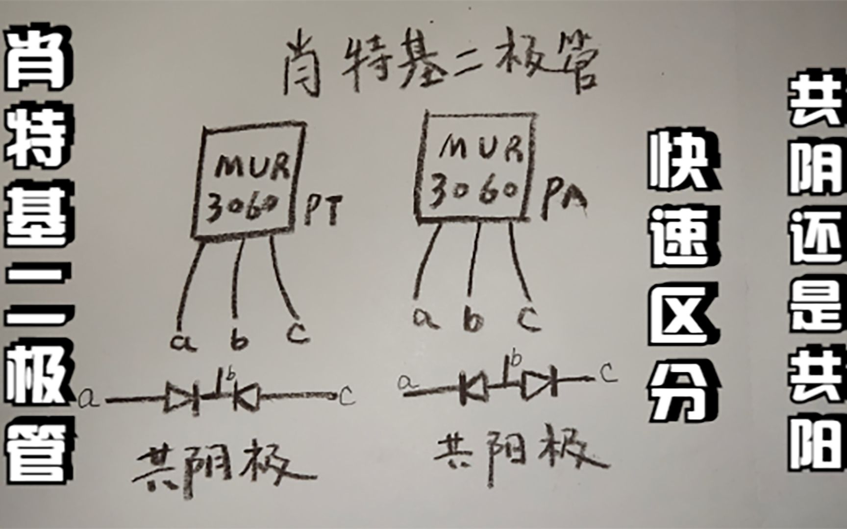 两种方法,教你快速区分肖特基二极管是共阴还是共阳哔哩哔哩bilibili