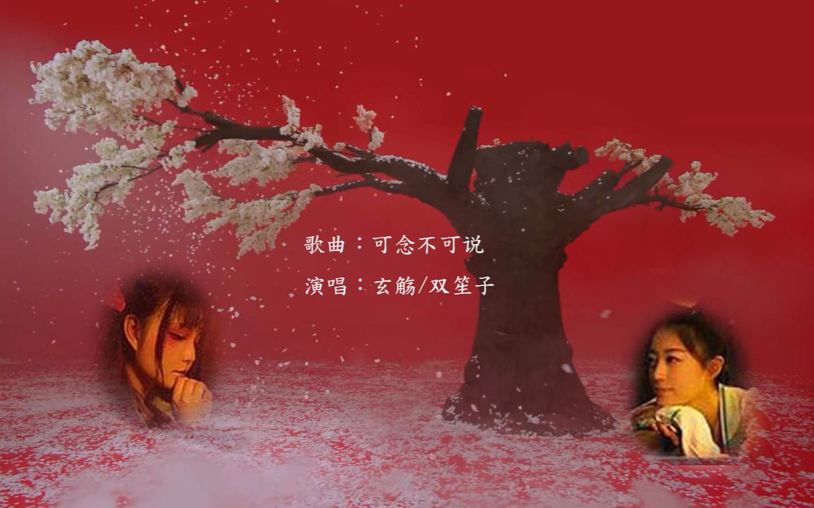 双笙子/玄觞  可念不可说>