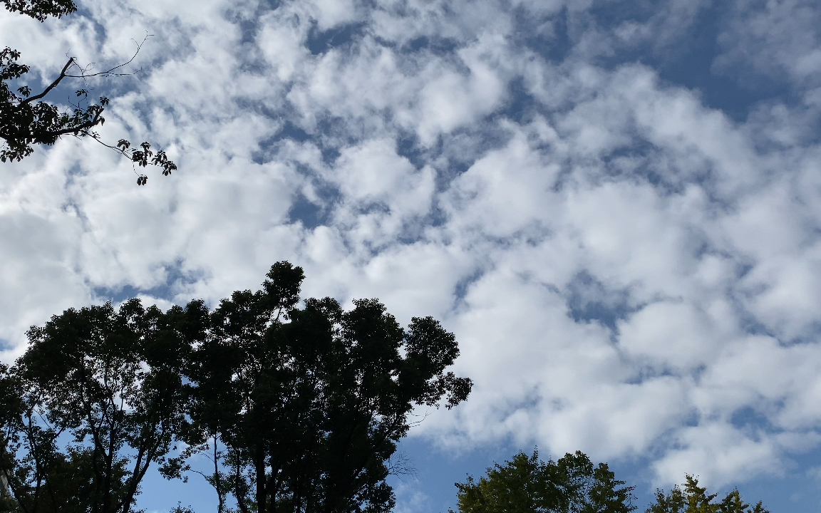 厚厚的一层棉絮云.