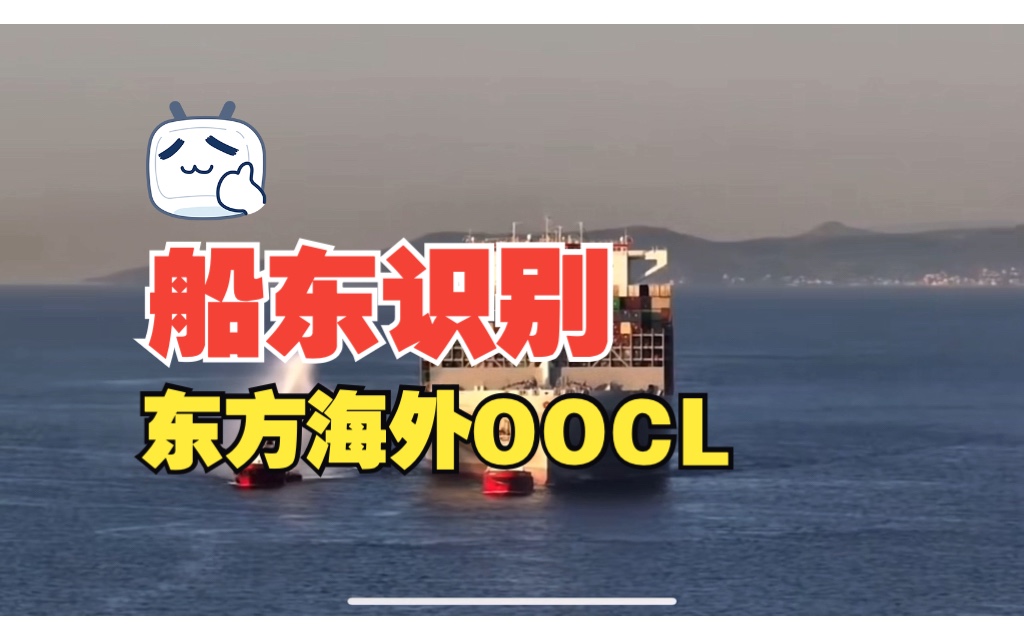 OOCL东方海外无需多言!哔哩哔哩bilibili