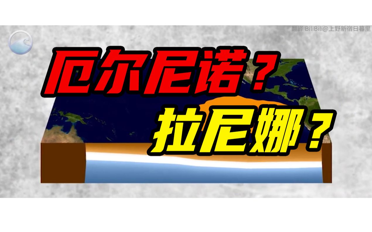 【熟肉】如何理解厄尔尼诺和拉尼娜现象?哔哩哔哩bilibili