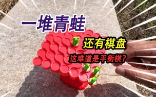 Download Video: 河里捡到一堆青蛙玩具，还有一个奇怪的红色棋盘，这难道是平衡棋