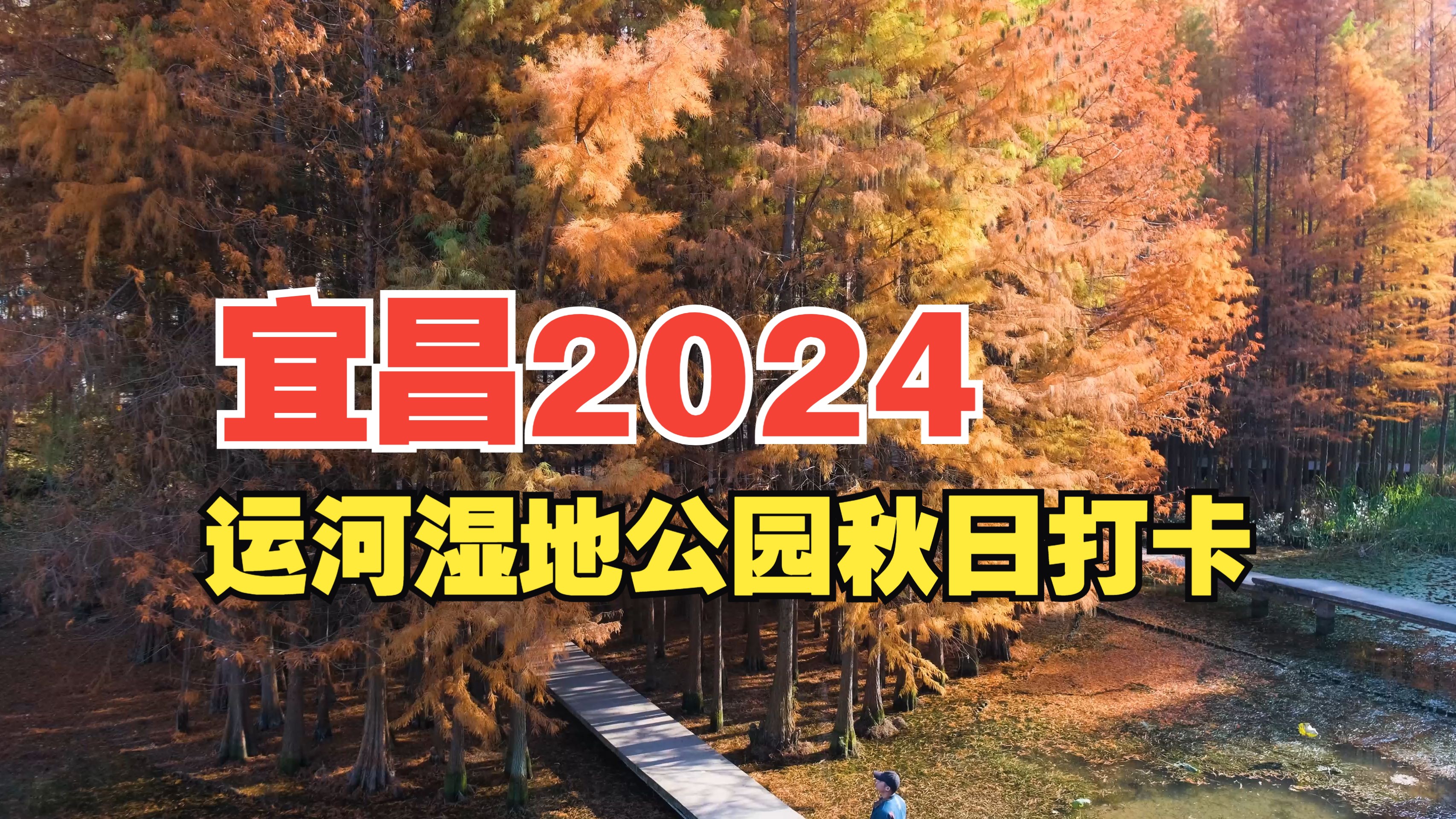 宜昌运河湿地公园2024秋日打卡【4K】哔哩哔哩bilibili