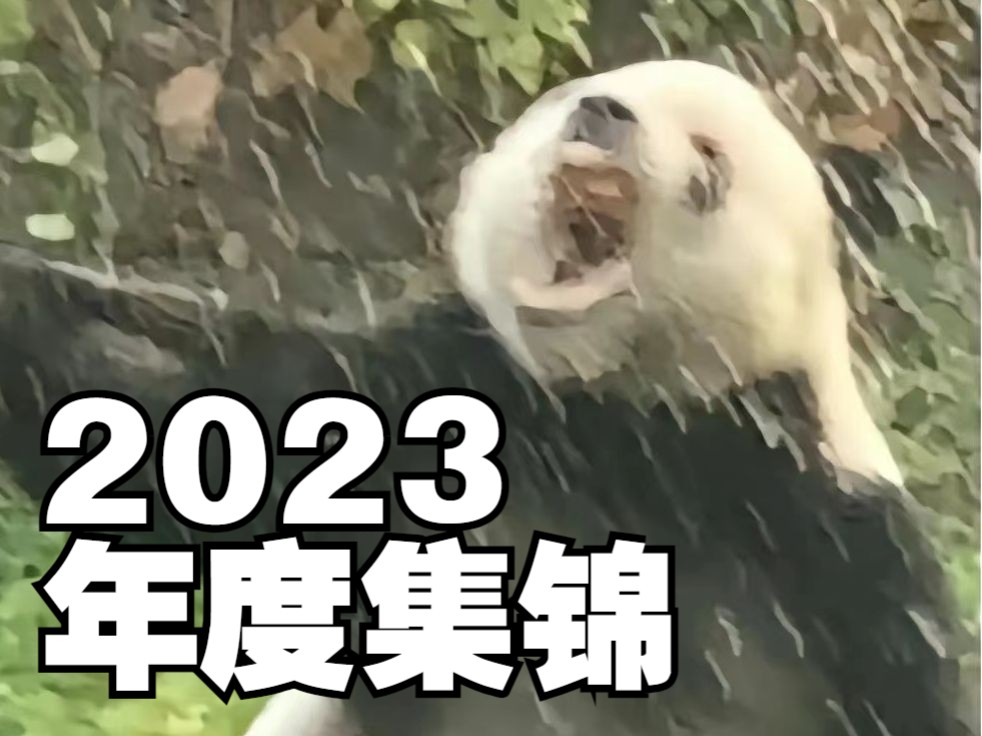 [图]【动物配音】是2023年度合集啊啊啊！！！