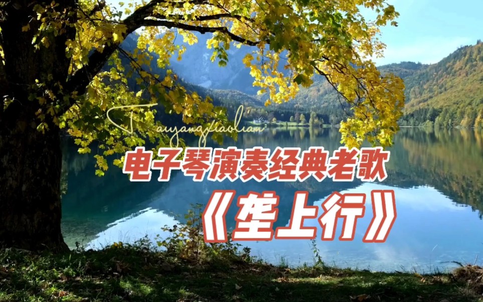 张明敏《垄上行》,80年代校园歌曲,一片秋色在眼前,电子琴演奏_哔哩
