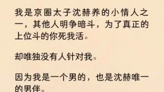 【双男主】（全文完）我是他养的小情人之一，其他人明争暗斗，为了真正上位斗你死我活。却唯独没有针对我。因为我是男的，也是他唯一的男伴…