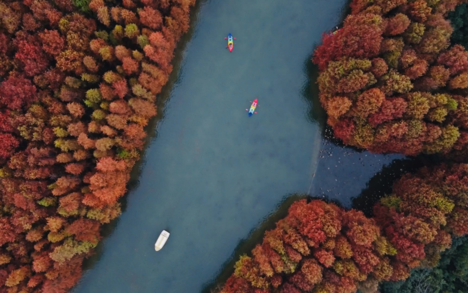 海湾森林公园面积图片