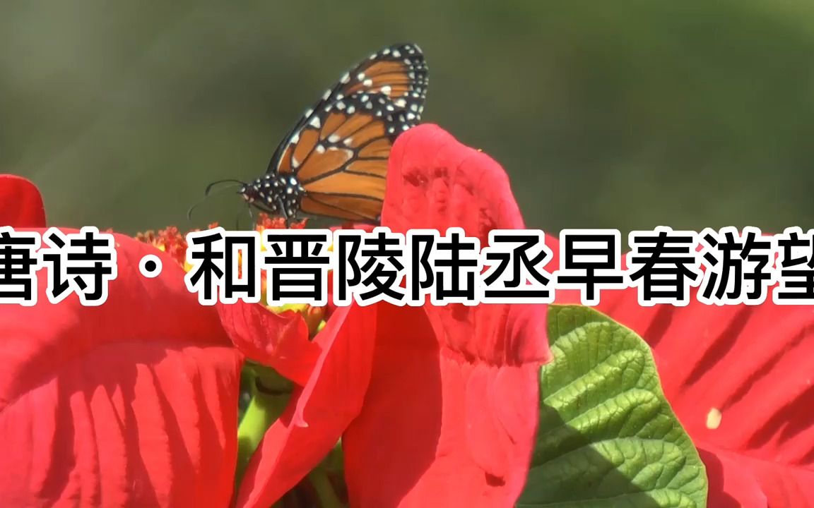 [图]唐诗·五言律诗·和晋陵陆丞早春游望