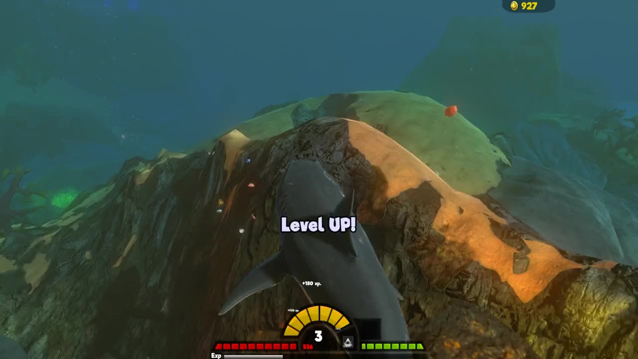 海底大猎杀:大白鲨vs剑射鱼!远古巨鱼大战海洋霸主