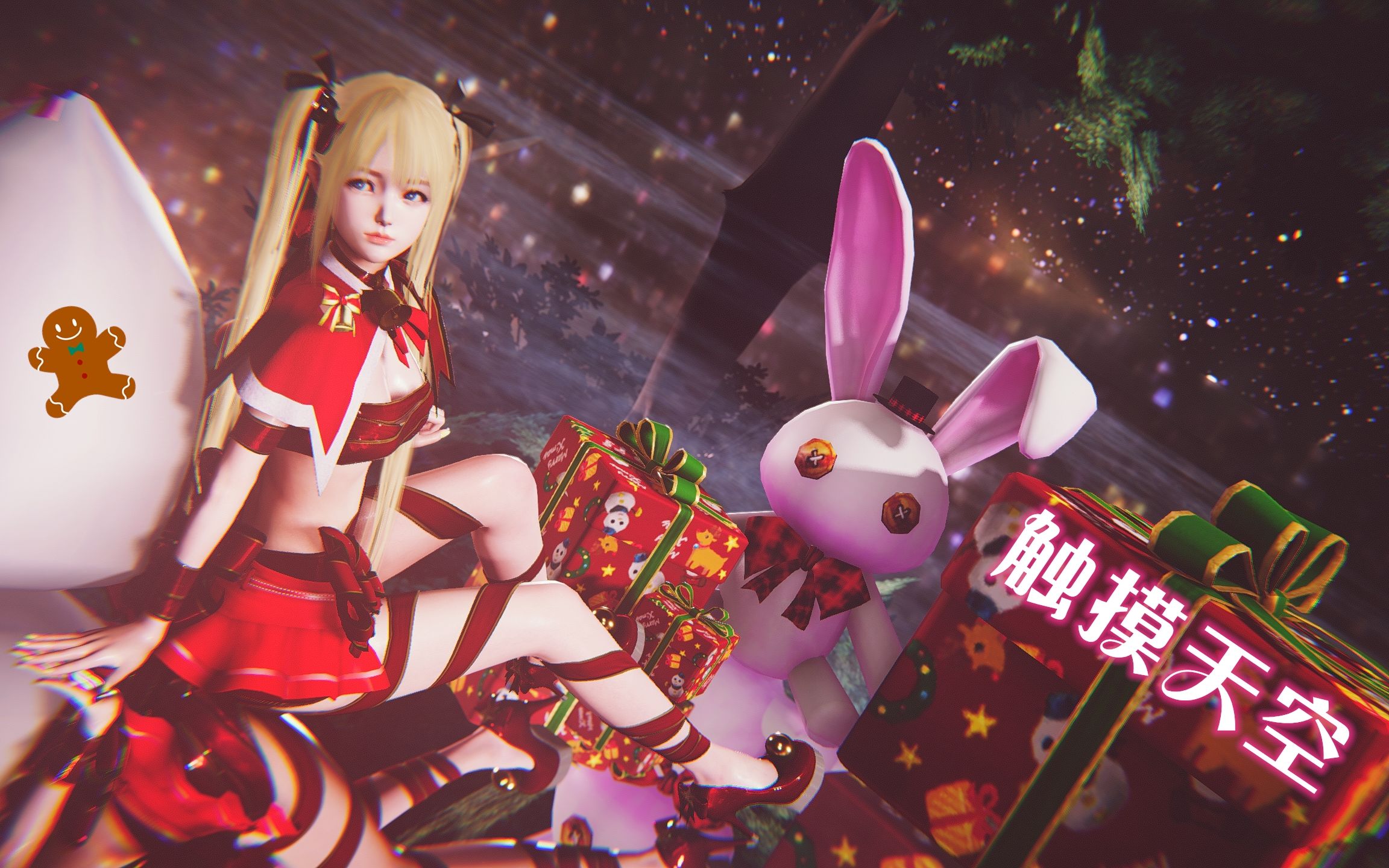 圣诞节,送个玛丽罗斯当礼物7815